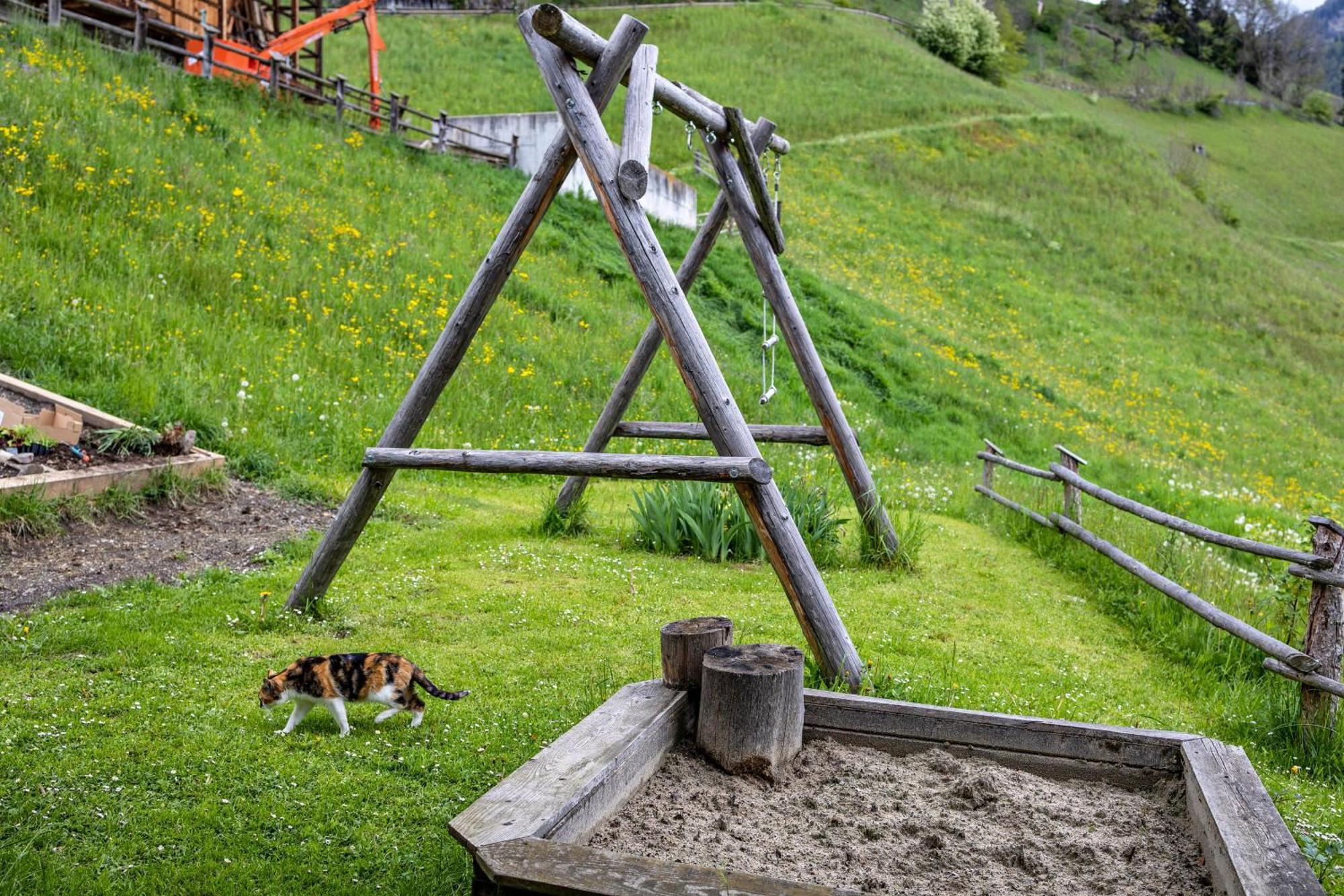 Bolser App Plan De Corones San Vigilio Di Marebbe Cameră foto